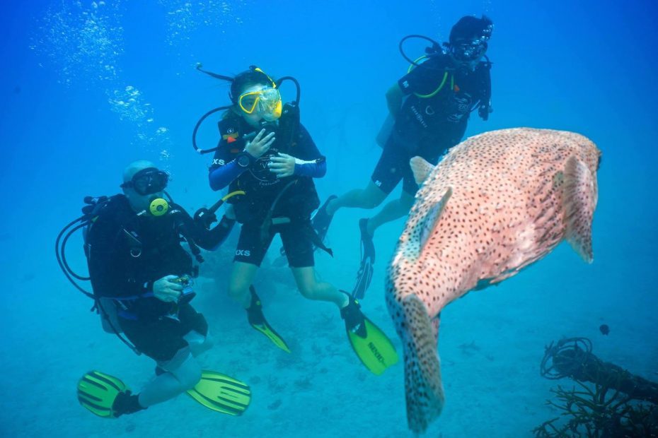 Scuba Diving for Children Koh Tao