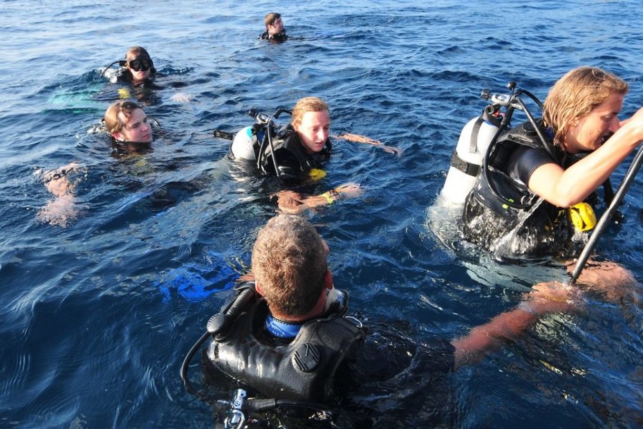 Koh Tao Diving Sites