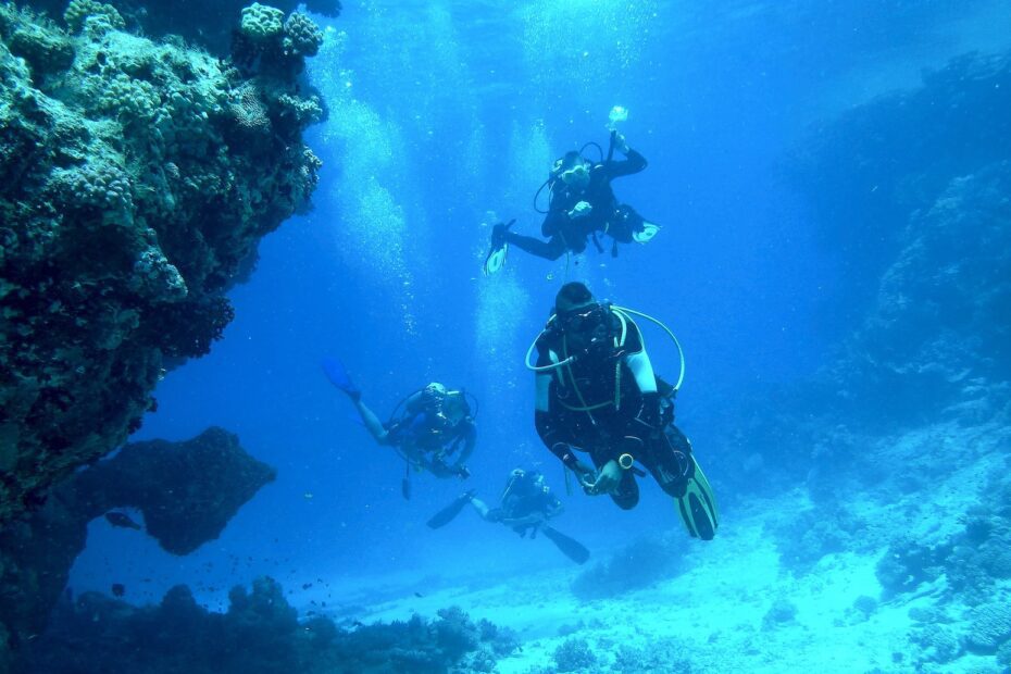 Koh Tao Diving