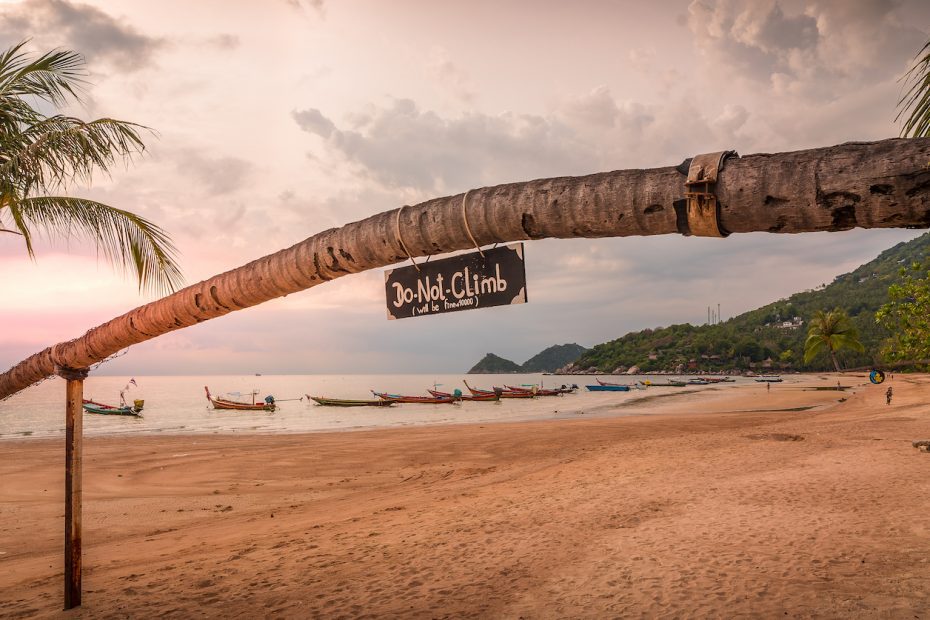 Stay Safe on Koh Tao