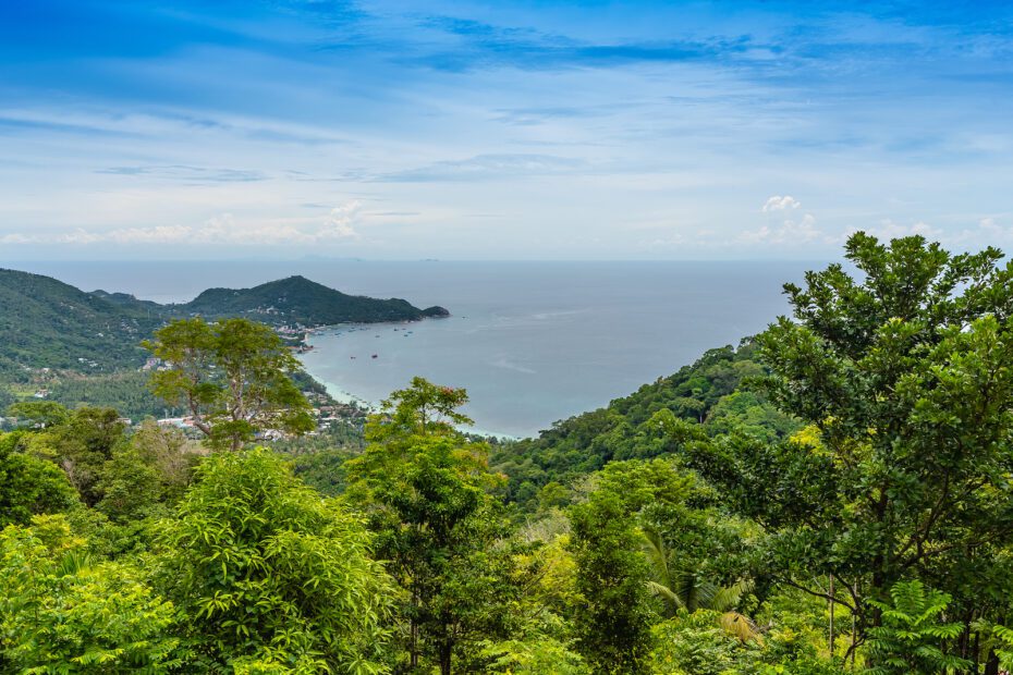 Summit Viewpoint Koh Tao