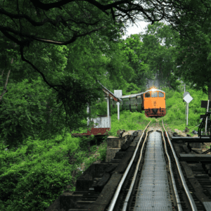 a train in Thailand cruising through beautiful jungle to Koh Tao
