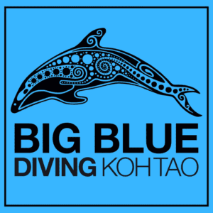 Big Blue Logo (1)