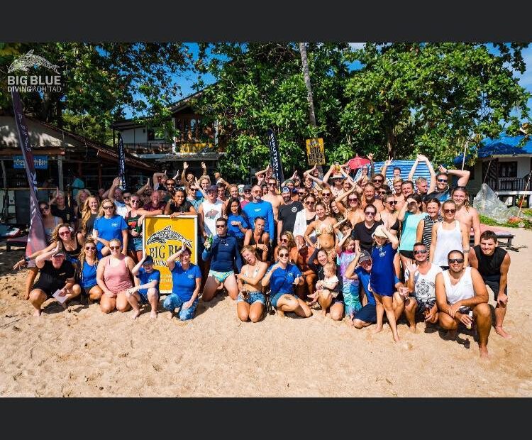 Swim for Sharks Koh Tao