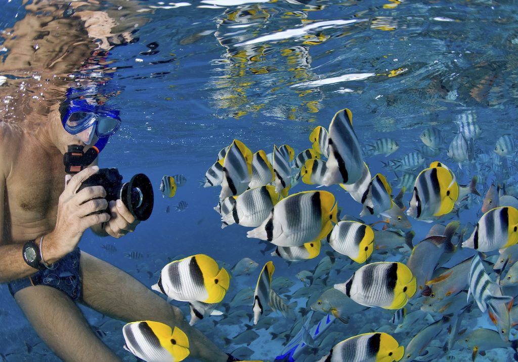 Snorkel Trip Koh Tao Full Day Trip With Diamond Tour